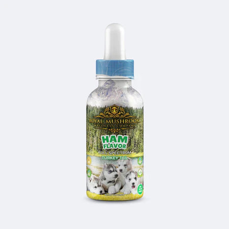 Royal Mushroom Dogs Mushroom Tincture Best Sales Price - Tincture Oil