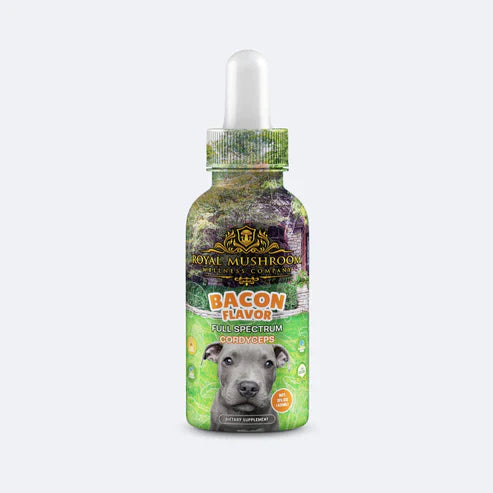 Royal Mushroom Dogs Mushroom Tincture Best Sales Price - Tincture Oil