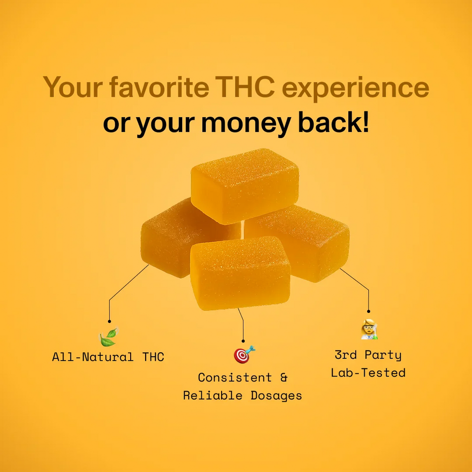 Diet Smoke Acapulco Gold 200MG THC | 10 GUMMIES