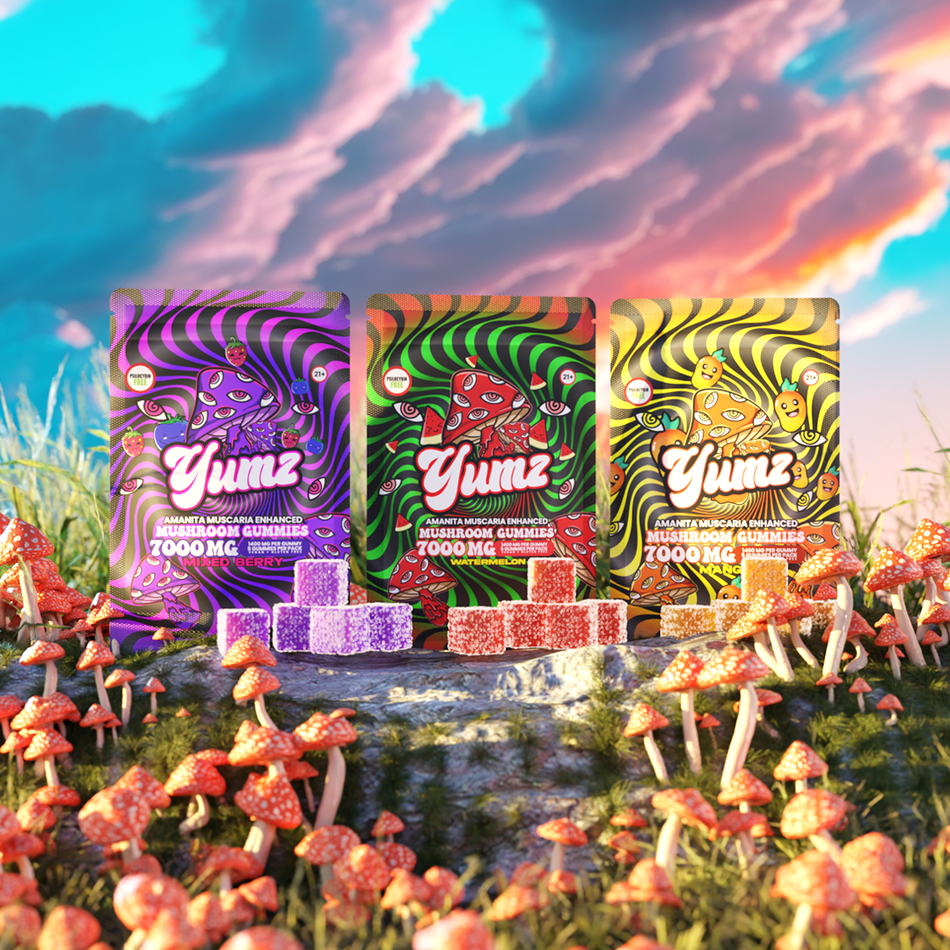 YUMZ - Amanita Muscaria Mushroom Gummies ( Bundle ) Best Sales Price - Gummies