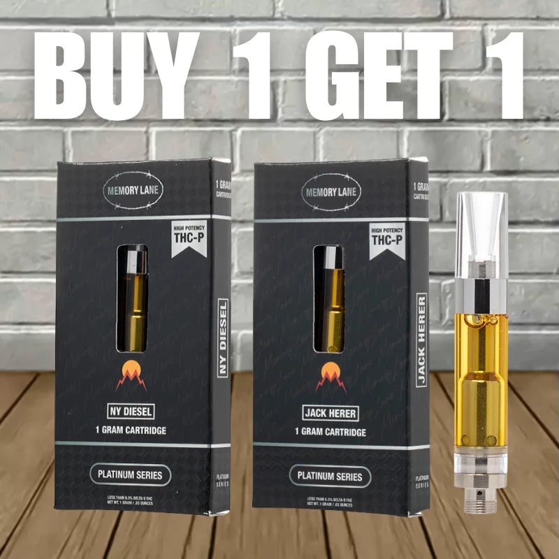 B1G1 Memory Lane Cartridges