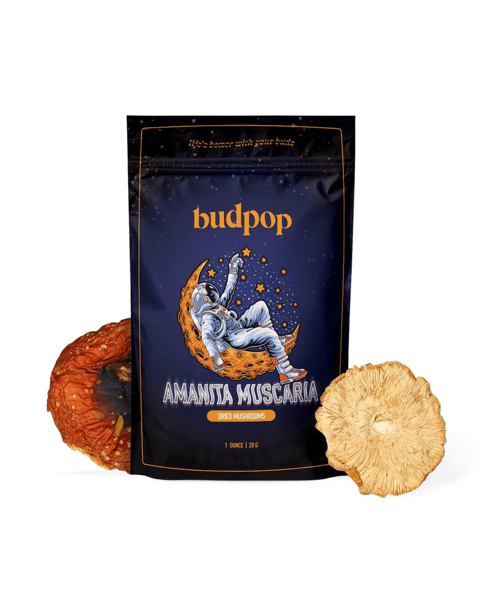 BudPop Dried Amanita Muscaria Mushrooms