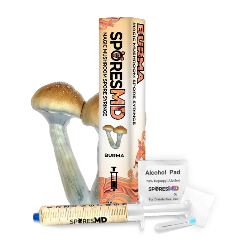 SporesMD Burma Mushroom Liquid Culture (10ml)