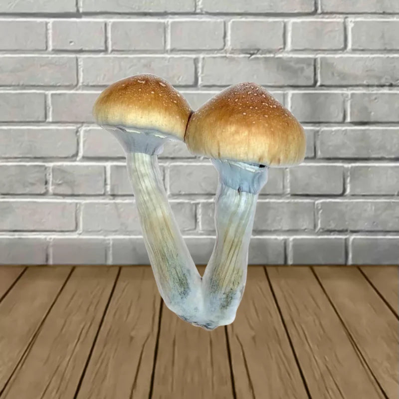 Burma Spores MD Syringe 10ml