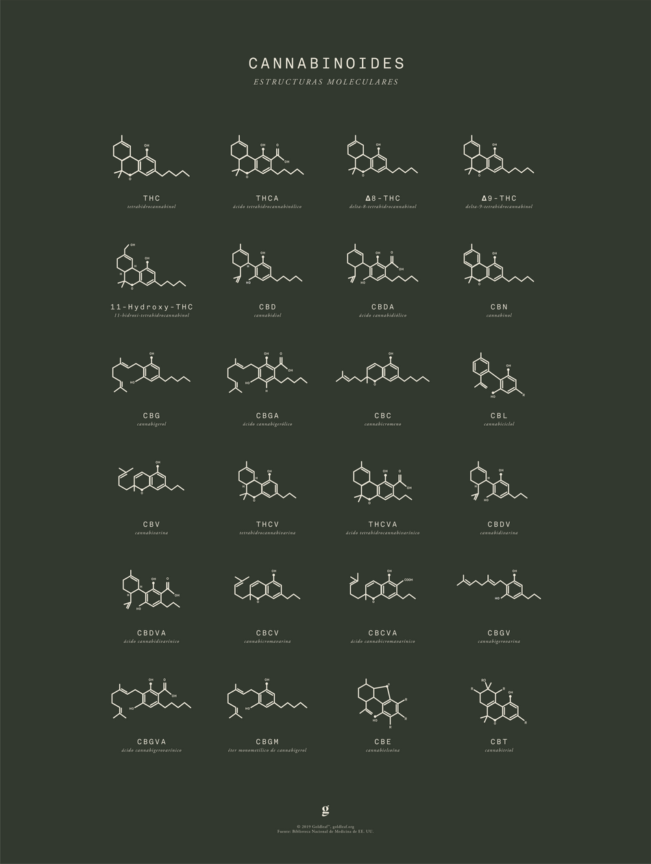 GoldLeaf Gráfico de Estructuras Moleculares de Cannabinoides