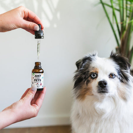 JustCBD - CBD Oil For Dogs Best Sales Price - Tincture Oil