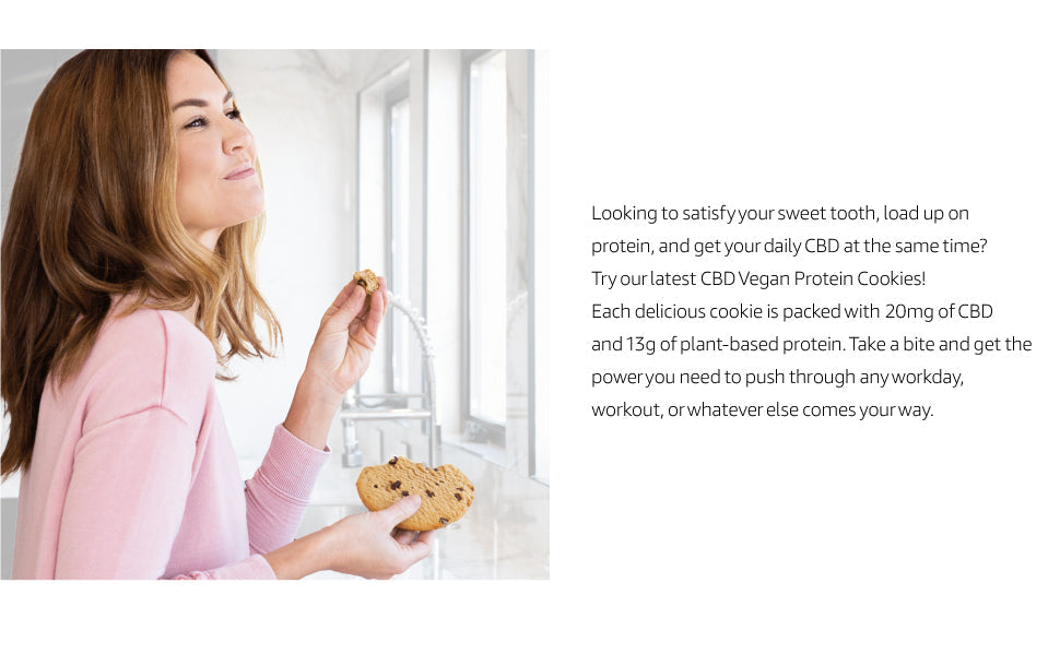 CBDFX CBD EDIBLES - Vegan Protein Chocolate Chip CBD Cookie 20MG Best Sales Price - Edibles