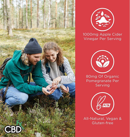 CBDfx CBD Gummies - Broad Spectrum Apple Cider Vinegar Gummies 25MG 1500MG Best Sales Price - Gummies