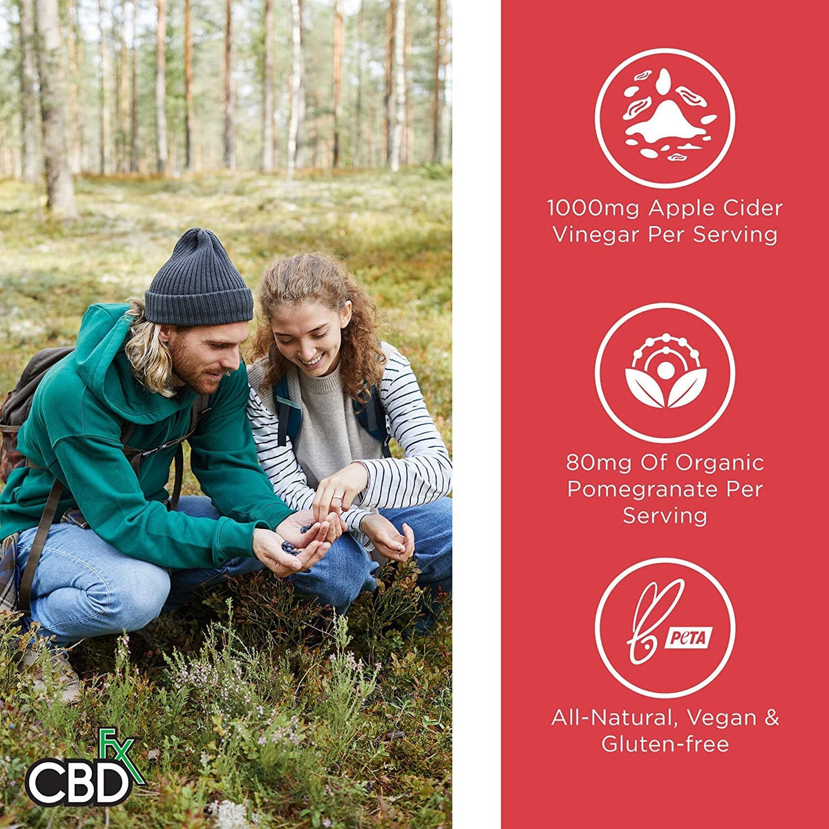 CBDfx CBD Gummies - Broad Spectrum Apple Cider Vinegar Gummies 25MG 1500MG Best Sales Price - Gummies