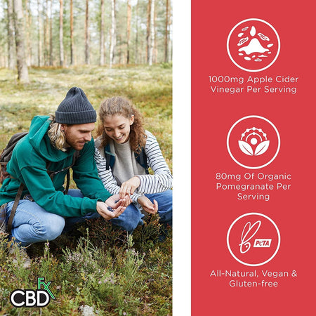 CBDfx CBD Gummies - Broad Spectrum Apple Cider Vinegar Gummies 25MG 1500MG Best Sales Price - Gummies