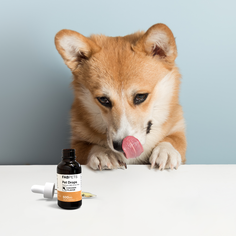 FAB CBD CBD Oil for Pets Bacon Flavor Best Sales Price - Tincture Oil