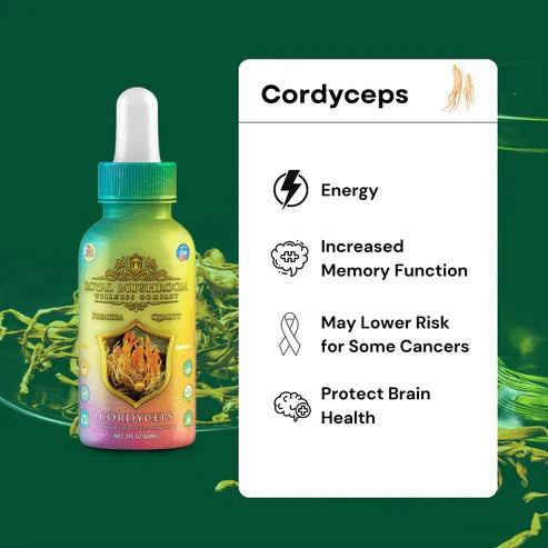 Royal Mushroom Cordyceps Mushroom Oil Tincture 60ml Best Sales Price - Tincture Oil