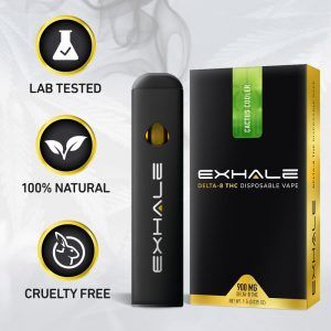 Delta 8 Disposable Vape Pen - Pineapple Express