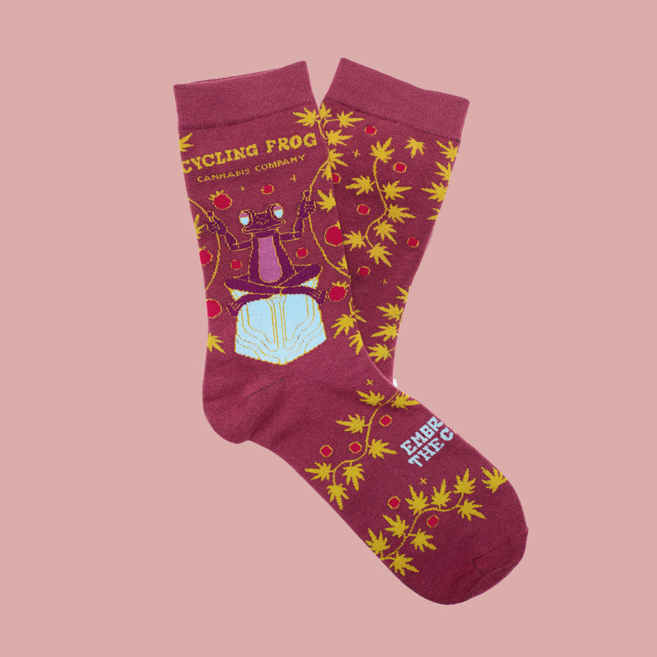 Cycling Frog Embrace the Chill Socks
