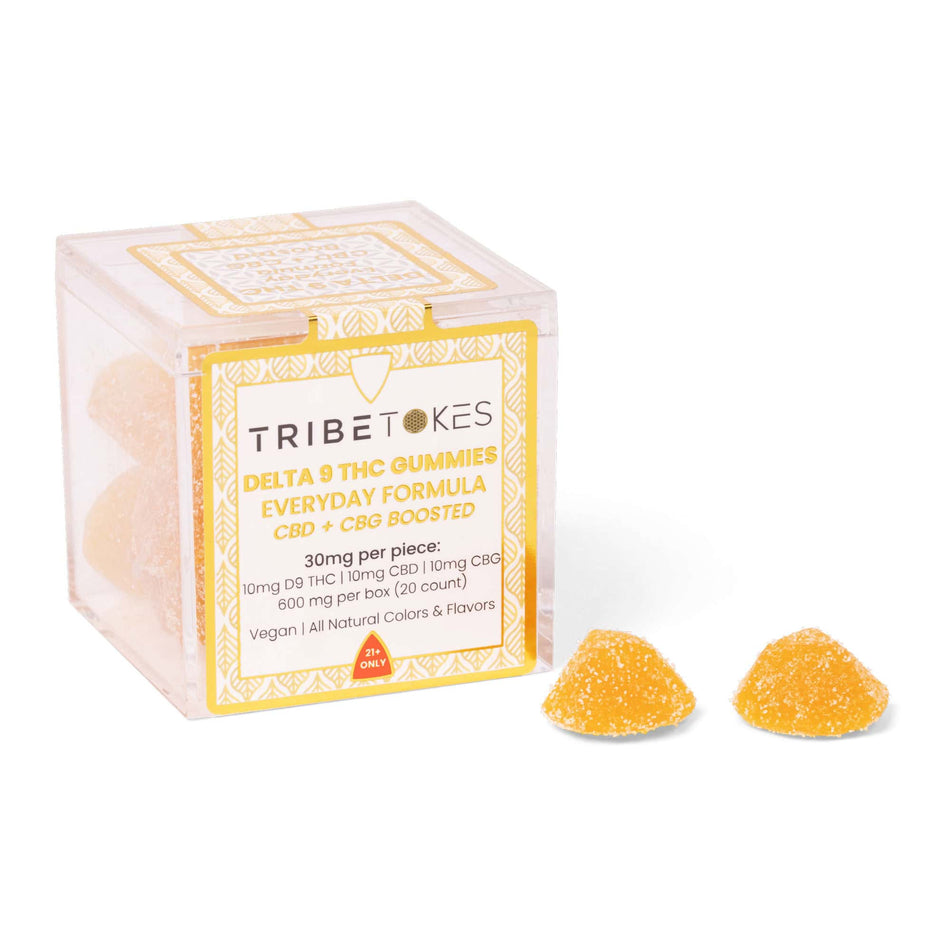 TribeTokes Everyday Balance THC Gummies | CBD + CBG Boosted | Tangerine