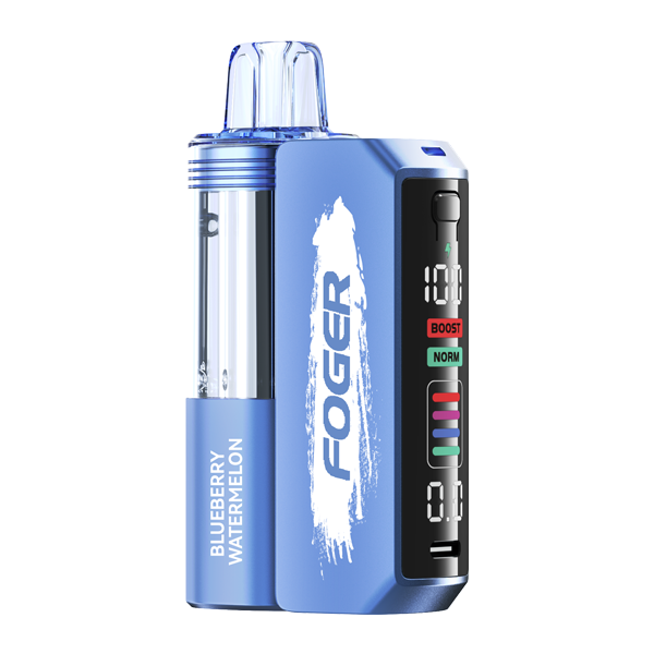 Blueberry Watermelon Flavor FOGER Switch Pro Kit