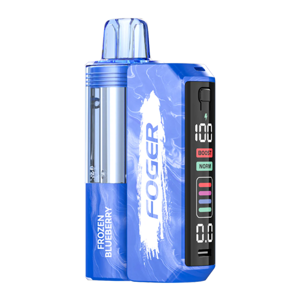 Frozen Blueberry Flavor FOGER Switch Pro Kit