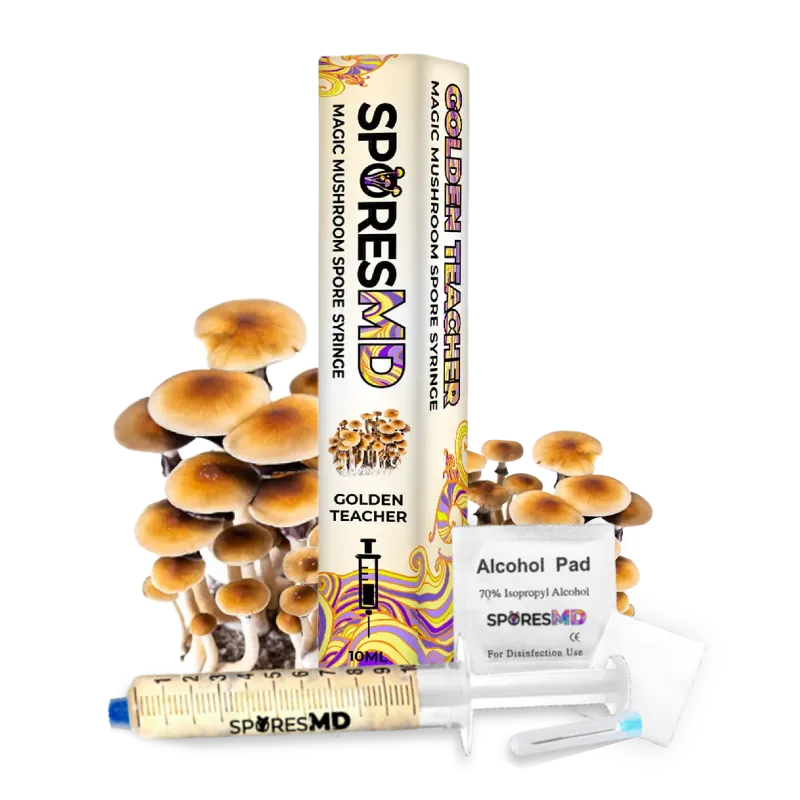 SporesMD Golden Teacher Mushroom Liquid Culture (10ml)