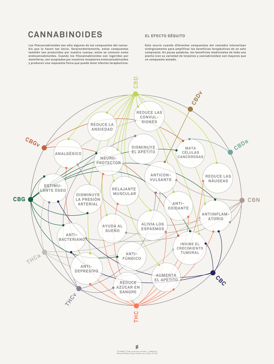 GoldLeaf La Matriz de Salud Cannabinoides Impresíon