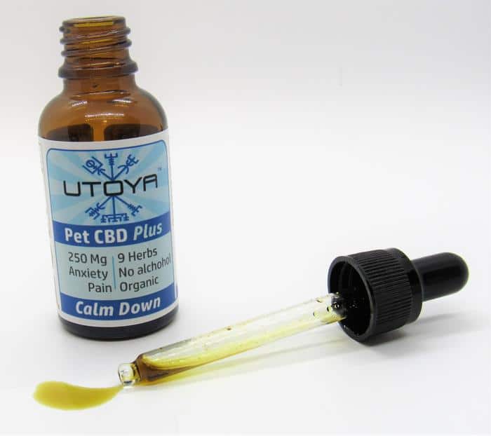 Utoya Pets Plus Calm Best Sales Price - Pet CBD