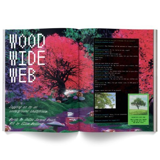 Cannabox Mushroom People Magazine Best Sales Price -