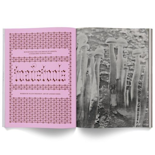 Cannabox Mushroom People Magazine Best Sales Price -