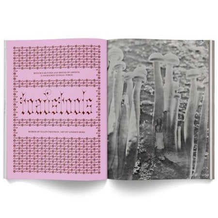 Cannabox Mushroom People Magazine Best Sales Price -