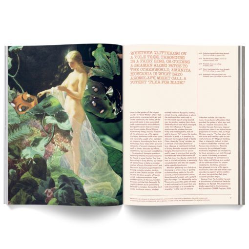 Cannabox Mushroom People Magazine Best Sales Price -