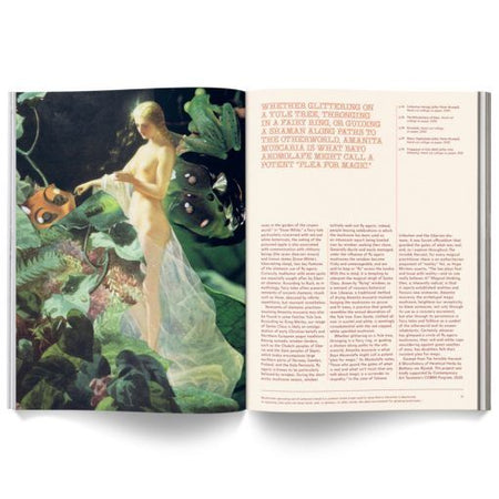 Cannabox Mushroom People Magazine Best Sales Price -