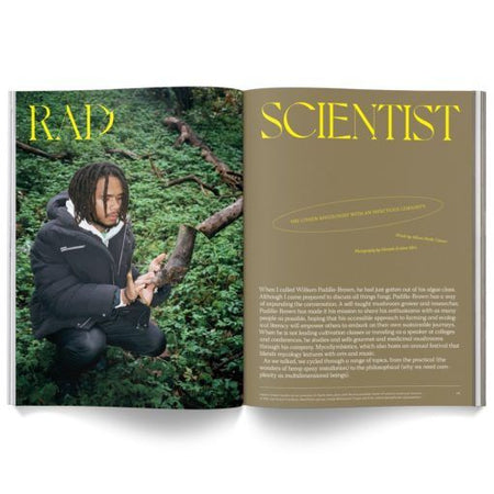 Cannabox Mushroom People Magazine Best Sales Price -