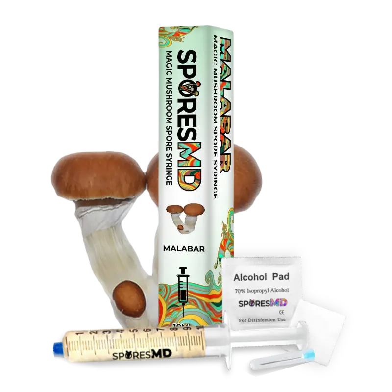 SporesMD Malabar Mushroom Liquid Culture (10ml)