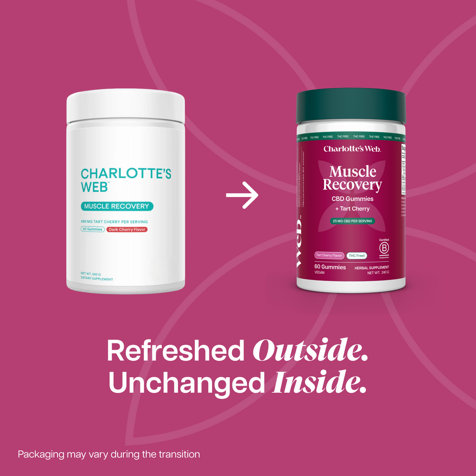 Charlotte's Web Muscle Recovery CBD Gummies