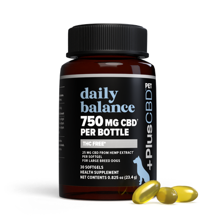 PlusCBD Daily Balance Pet CBD Softgels 25mg 30ct