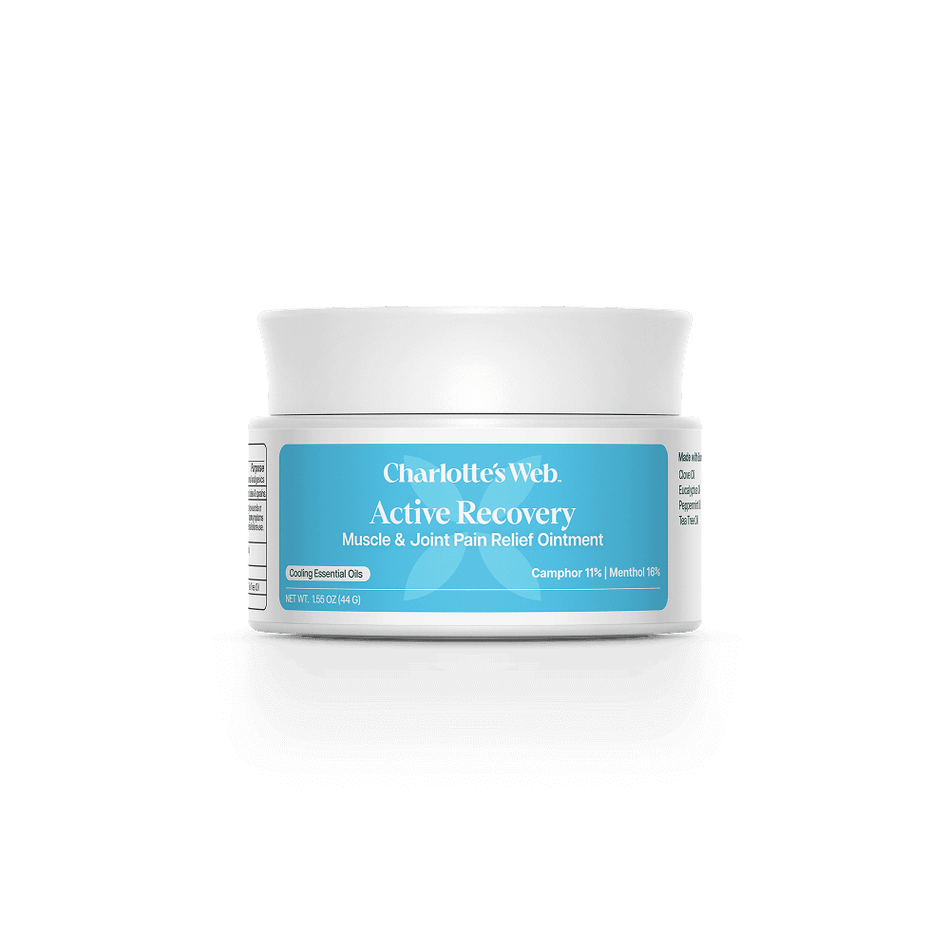 Charlotte's Web Active Recovery Muscle & Joint Pain Relief Ointment
