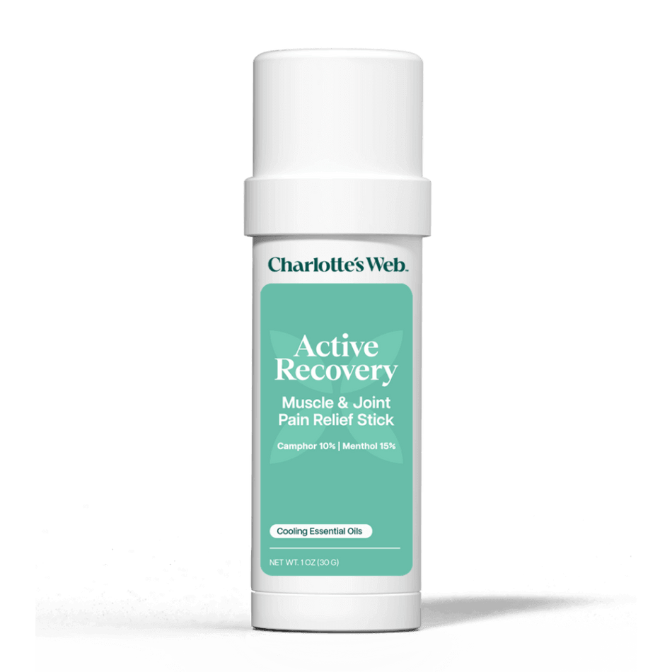 Charlotte's Web Active Recovery Muscle & Joint Pain Relief Stick