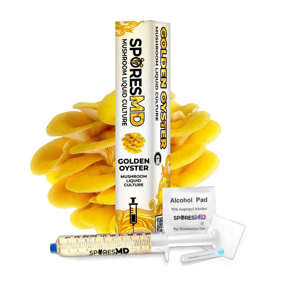 SporesMD Golden Oyster Organic Mushroom Liquid Culture Syringe (10ml)