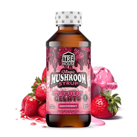 Mushroom Syrup – Trehouse Best Sales Price - Edibles