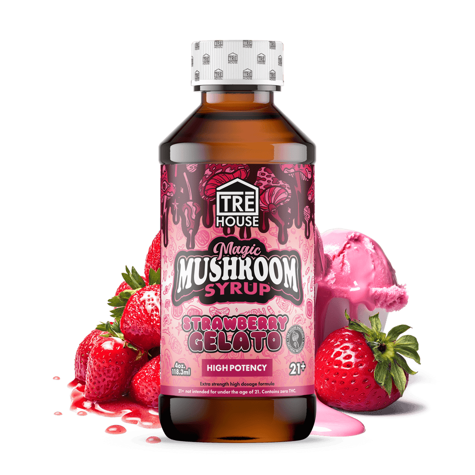 Mushroom Syrup – Trehouse Best Sales Price - Edibles