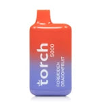 Torch 5000 Puffs Disposable Vape 5% Nicotine Best Sales Price - Disposables
