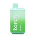 Torch 5000 Puffs Disposable Vape 5% Nicotine Best Sales Price - Disposables