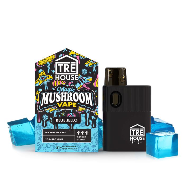 Mushroom Disposable Vape 2 Gram – TreHouse Best Sales Price - Vape Pens