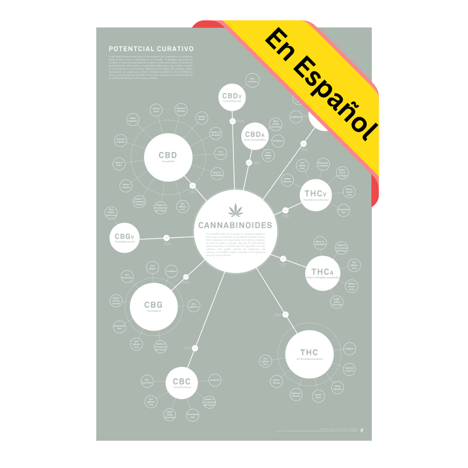 GoldLeaf Tabla de Cannabinoides Impresión en Español
