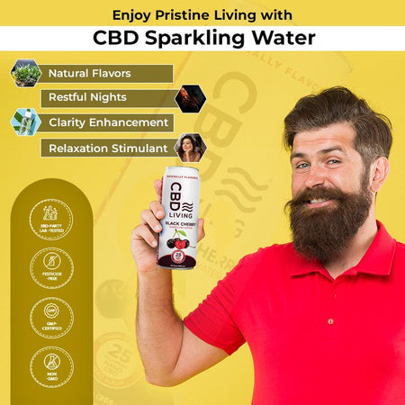 CBD Living CBD Sparkling Water Best Sales Price - Edibles
