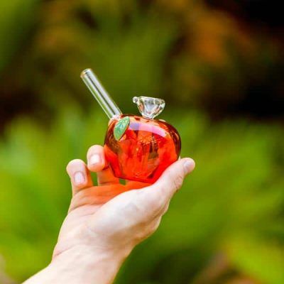 Cannabox Glass Apple Bong Best Sales Price - Bongs