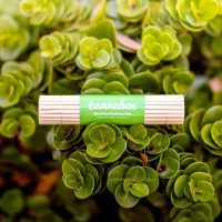 Cannabox Natural Bamboo Rolling Mat Best Sales Price - Accessories