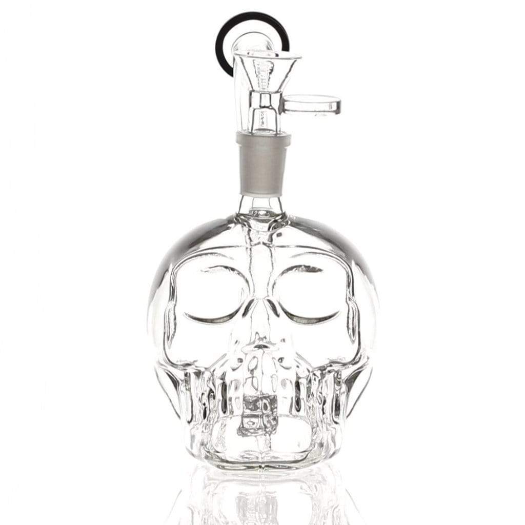 Daily High Club "Skull" Bong Best Sales Price - Bongs