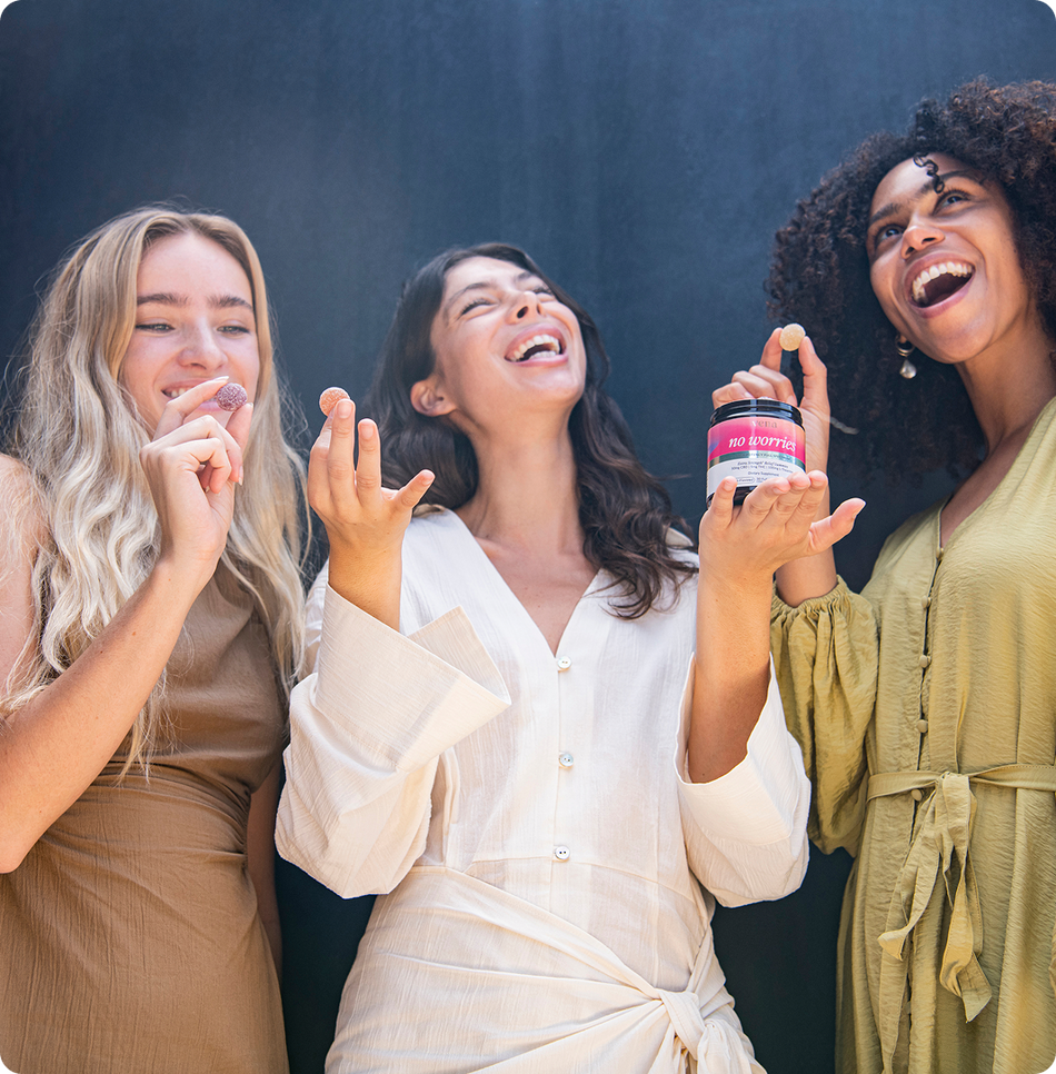 Vena Best Sellers Bundle