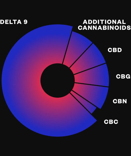 Delta Munchies Strawberry Dream 1000mg Delta 9 Gummies Best Sales Price - Gummies