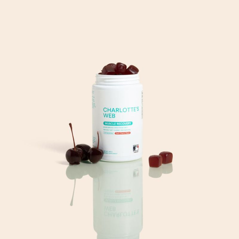 Charlotte's Web Muscle Recovery Gummy
