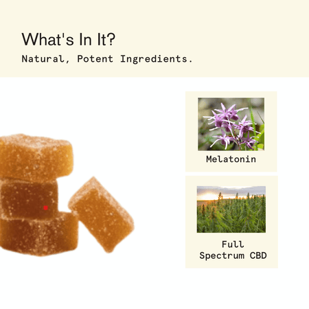 House of Wise CBD Sleep Gummies (4ct.) Best Sales Price - Gummies